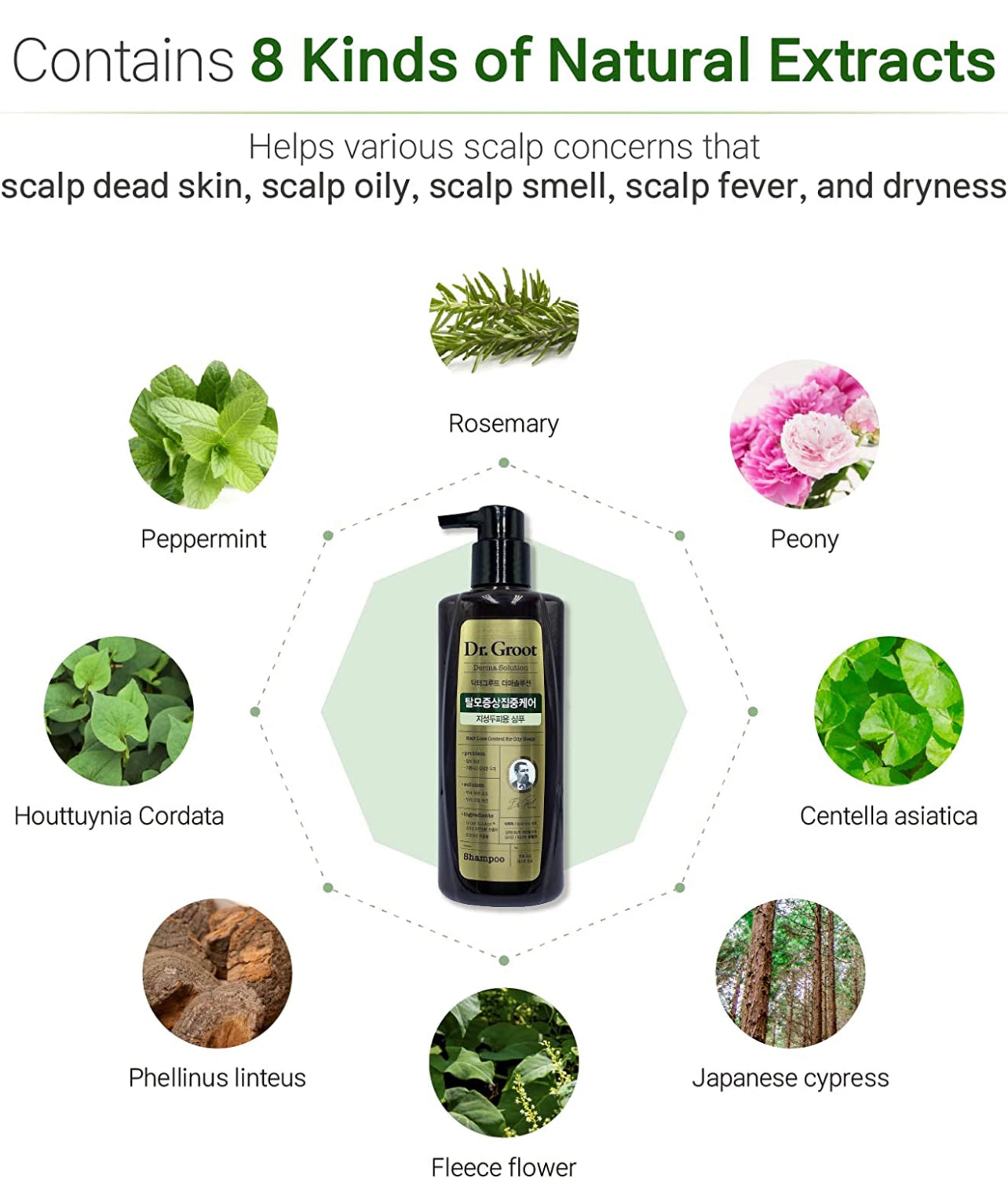 Dr. Groot Derma solution hair loss control for oily scalp